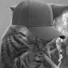 Profile photo of DanG Mai
