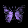 Profile photo of ljnh Haf