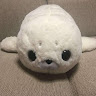 Profile photo of domer jay