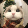 Profile photo of 99%