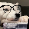 Profile photo of Khôi