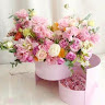 Ha Vo Thi Thu