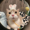 Profile photo of Vy