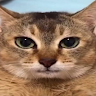 Profile photo of Haku En