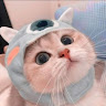 Profile photo of Sunnie