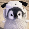 Profile photo of Khanhly