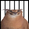 Profile photo of zinner lol