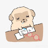 Profile photo of hiquin