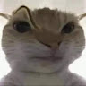 Profile photo of Minh Triet