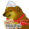 Profile photo of minh trí