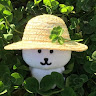 Profile photo of D H