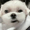 Profile photo of Hanhh Nguyen