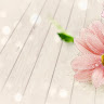 Profile photo of Beo Nam