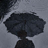 Profile photo of Vũ Văn