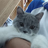 Profile photo of 19. Vũ Hà Trúc Ly