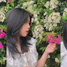 Profile photo of Phạm Quỳnh Anh
