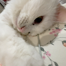 Profile photo of Thuc Quyen
