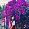 Profile photo of Ý Hoàng