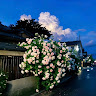 Profile photo of thanhhien hole
