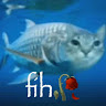 Profile photo of phat nguyen
