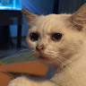 Profile photo of Hạnh Nguyên