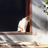 Profile photo of huyen my