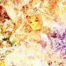 Profile photo of Kurenai Misuzu