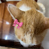 Profile photo of Quynh Khanh
