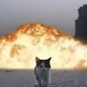 Profile photo of Dung Hg