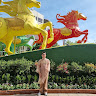 Profile photo of Khôi Võ