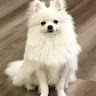 Profile photo of quyducdc1011 Ng