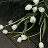 Profile photo of Hiếu