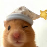 Profile photo of Khanh Vy