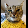 Profile photo of Thu
