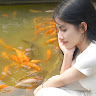 Profile photo of ha nguyen