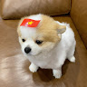 Profile photo of Hue An
