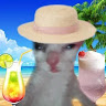 Profile photo of Ha Chi