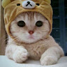 Profile photo of Ly Nguyễn Khánh