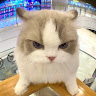 Profile photo of Chan Nhi