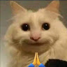 Profile photo of SAVIOUR