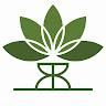 Profile photo of Lê Anh