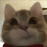 Profile photo of ntpk