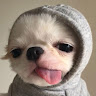 Profile photo of Ph Myanh