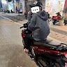 Profile photo of Minh Quang