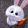 Profile photo of Hareal Le