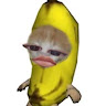 Profile photo of nnn Chrysan