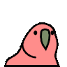Profile photo of Parrot Party