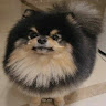 Profile photo of NgÃ´ Báº¯p