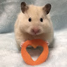 Profile photo of tklinh