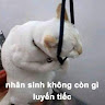 Profile photo of Lê Thanh Hồng